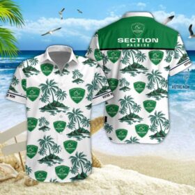 Chemise hawaïenne Section Paloise