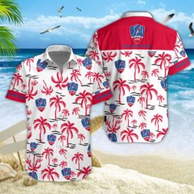 Chemise hawaïenne Stade Aurillacois Cantal Auvergne